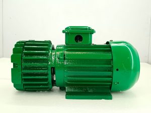 TAIZHOU TIANTAISHAN CYBW-10 BLOWER CAPACITY- 10 m³/h PRESSURE 60 KPa