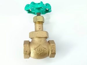 YEON ¾ 150 GLOBE VALVE